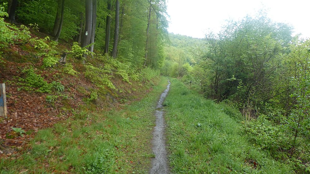 Sauerländer Waldroute