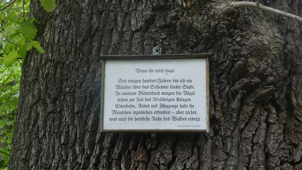Sauerländer Waldroute