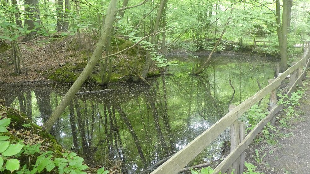 Sauerländer Waldroute