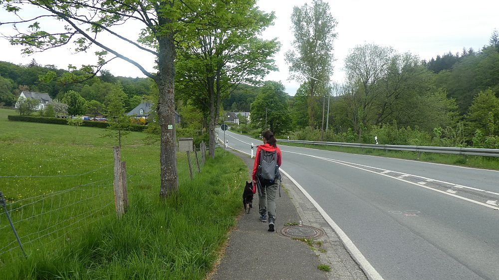 Sauerländer Waldroute