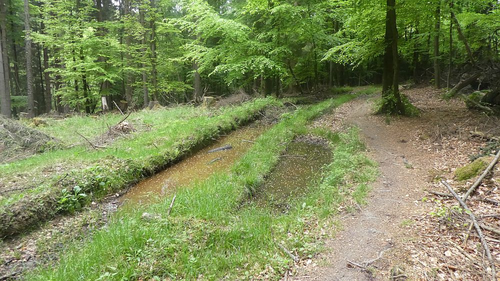 Sauerländer Waldroute