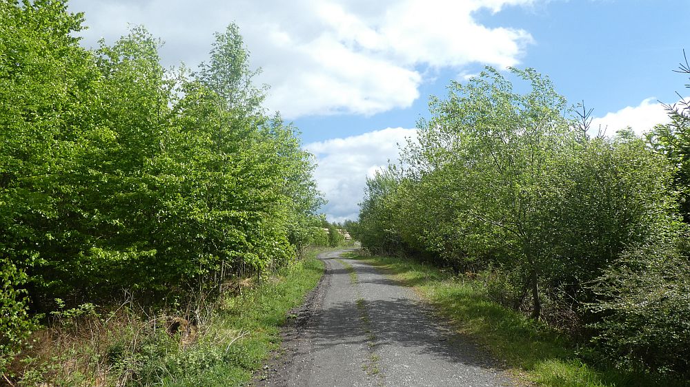 Sauerländer Waldroute