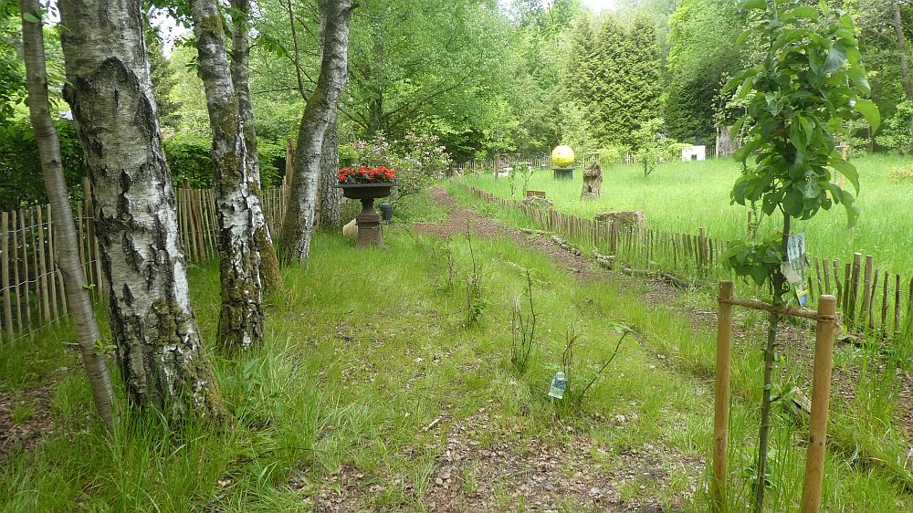 Sauerländer Waldroute