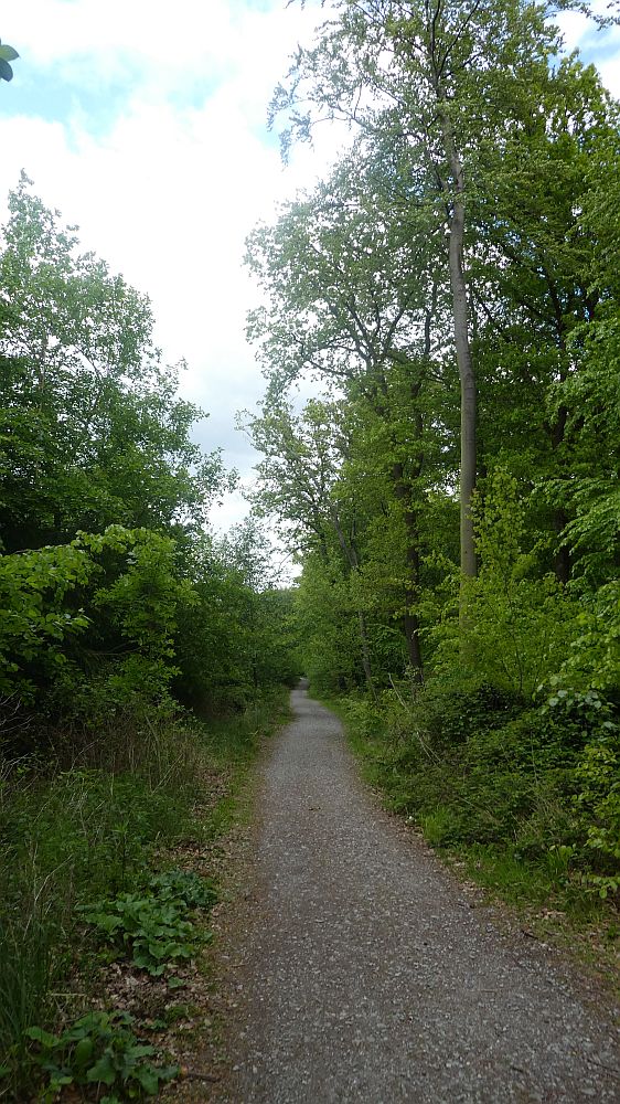 Sauerländer Waldroute