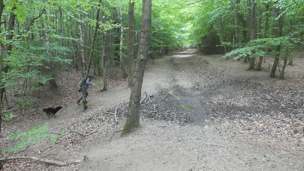Sauerländer Waldroute