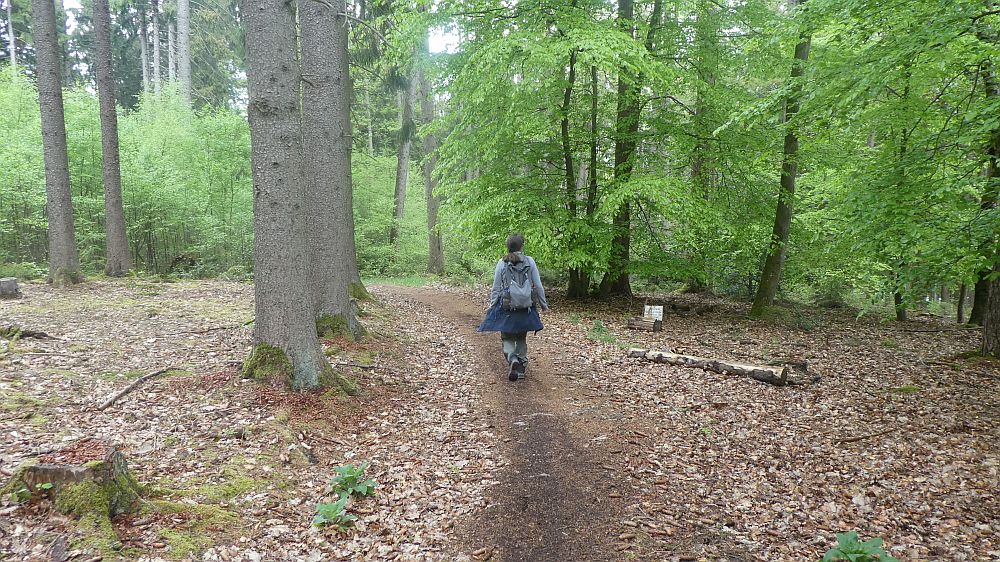 Sauerländer Waldroute