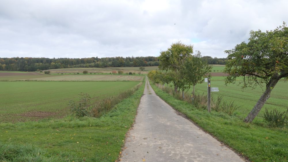 Weserberglandweg