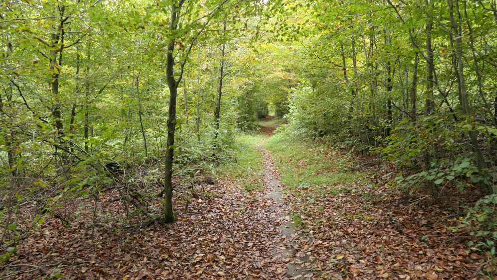 Weserberglandweg