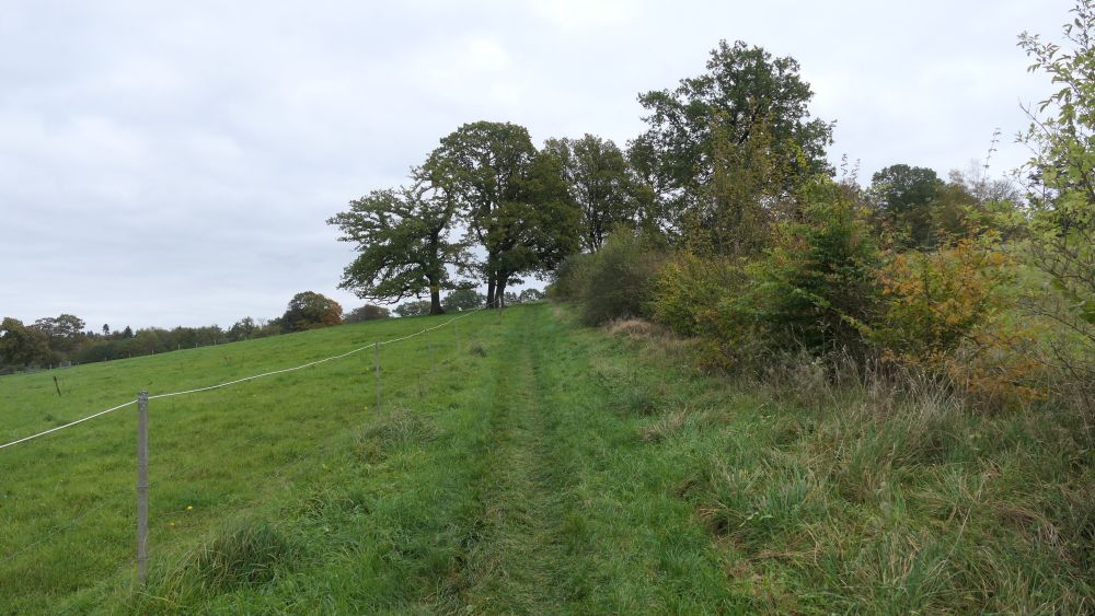 Weserberglandweg