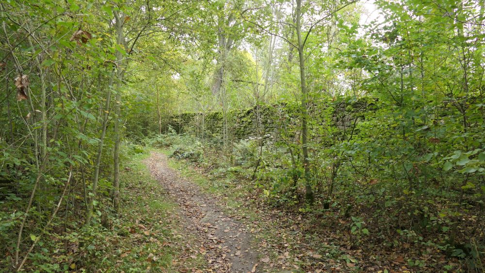 Weserberglandweg
