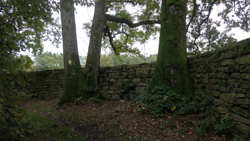 Weserberglandweg