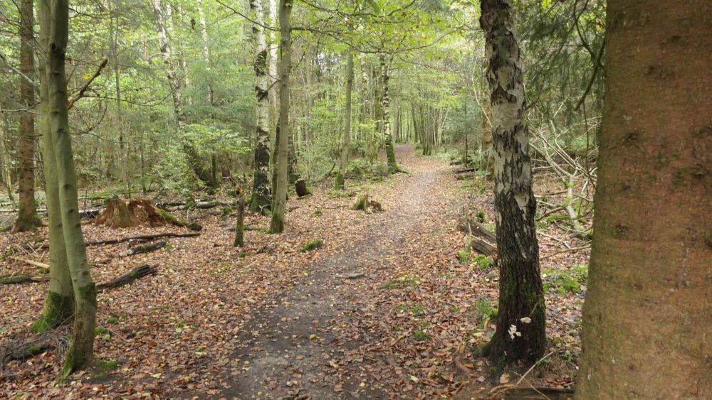 Weserberglandweg
