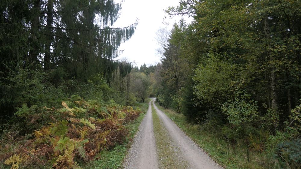 Weserberglandweg