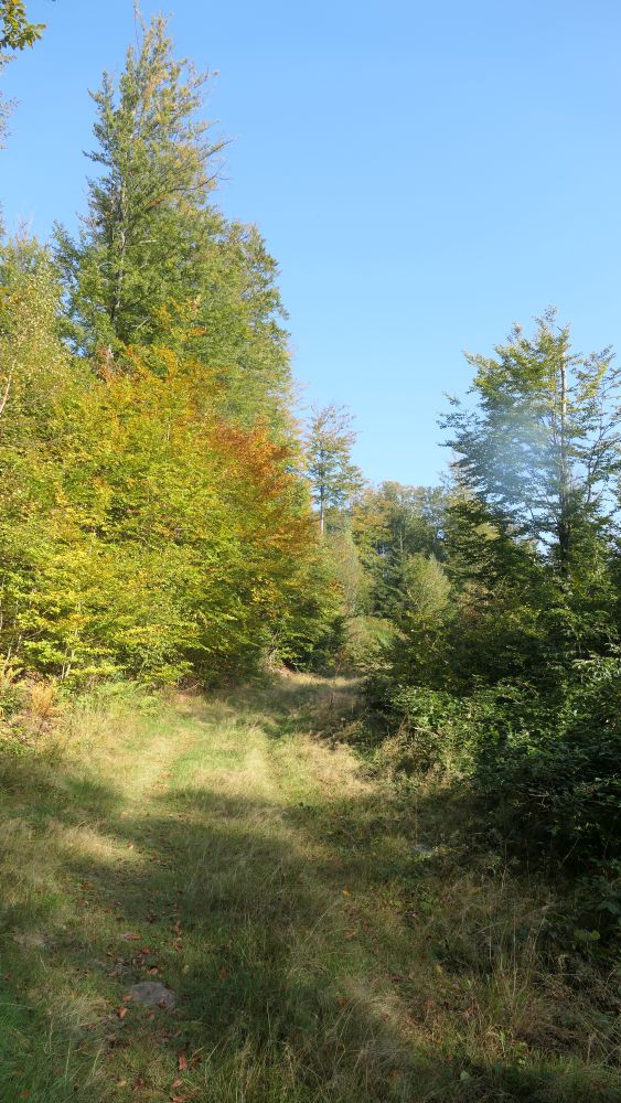 Weserberglandweg