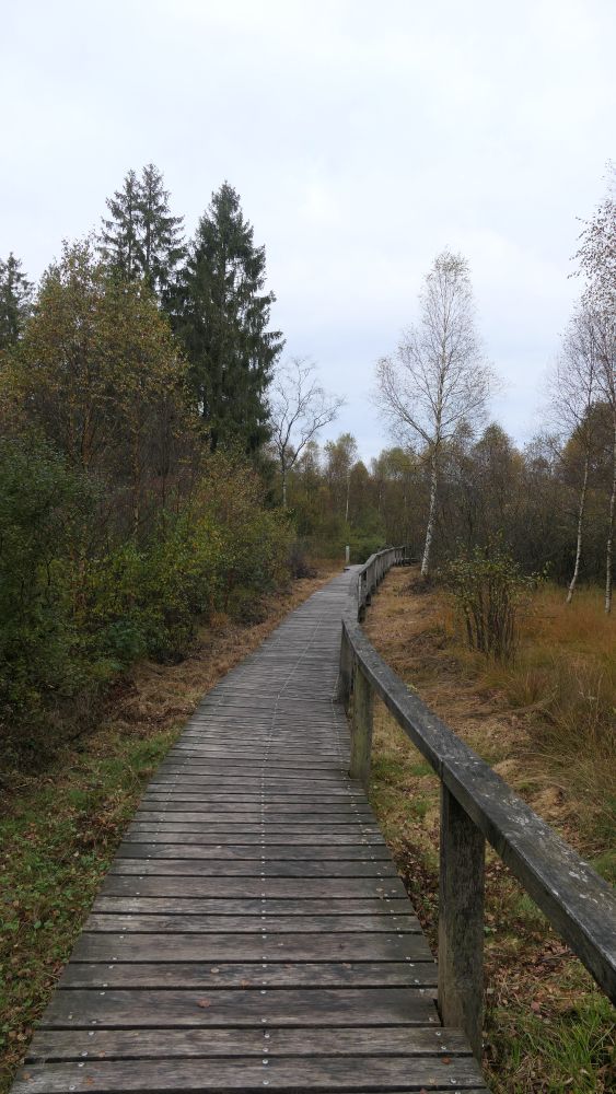 Weserberglandweg