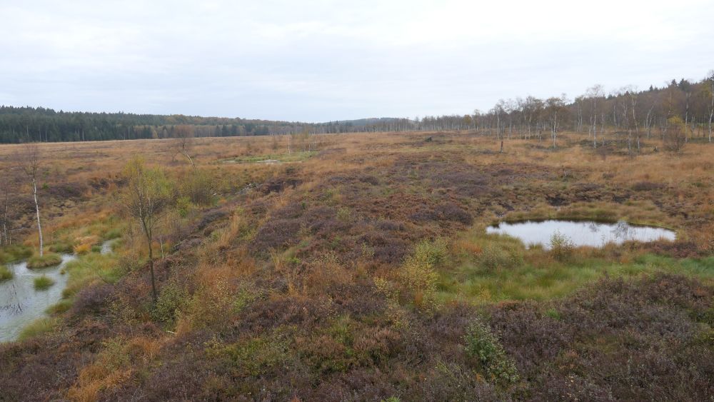 Weserberglandweg