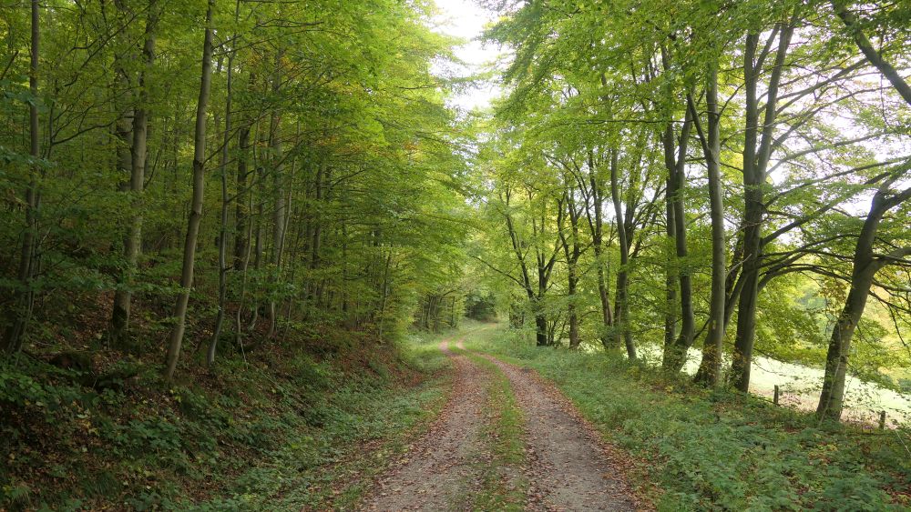Weserberglandweg