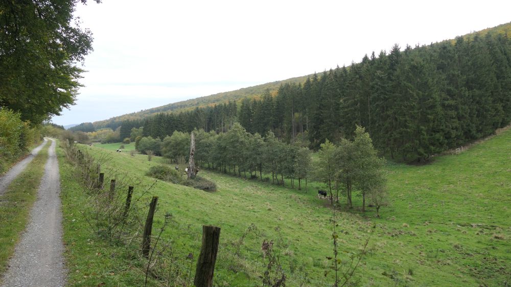 Weserberglandweg