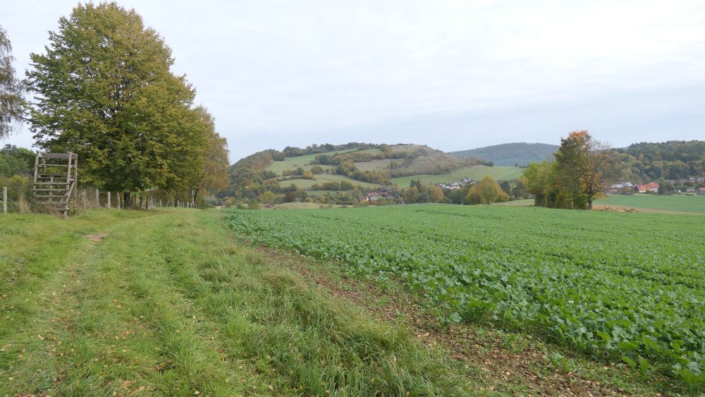 Weserberglandweg