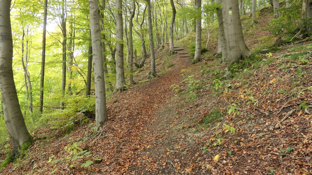 Weserberglandweg