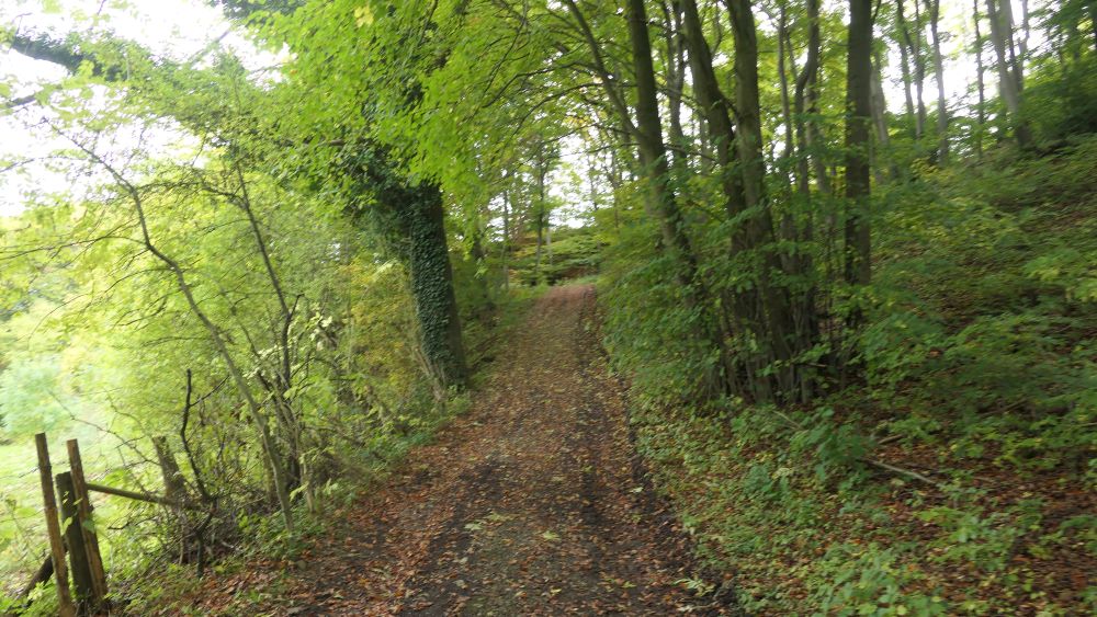 Weserberglandweg
