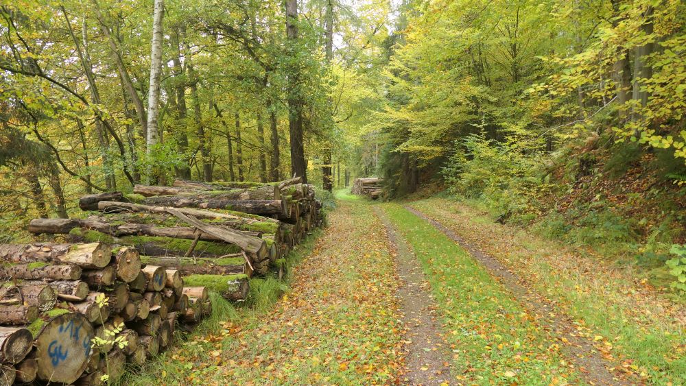 Weserberglandweg