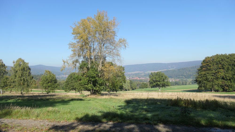 Weserberglandweg