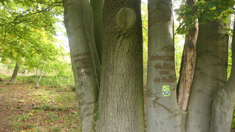 Weserberglandweg
