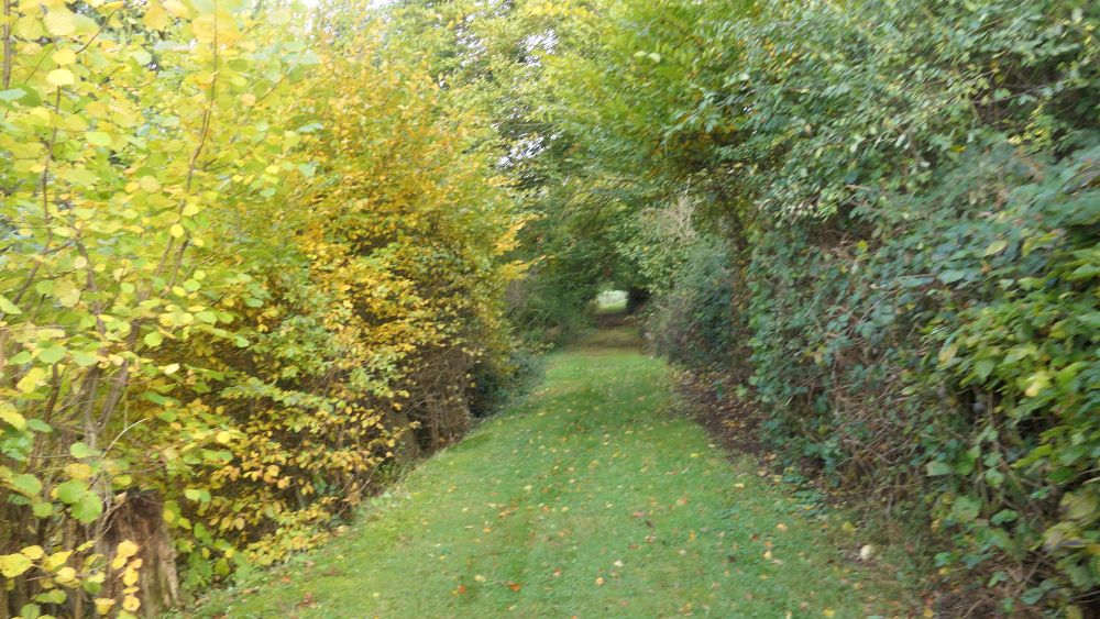 Weserberglandweg