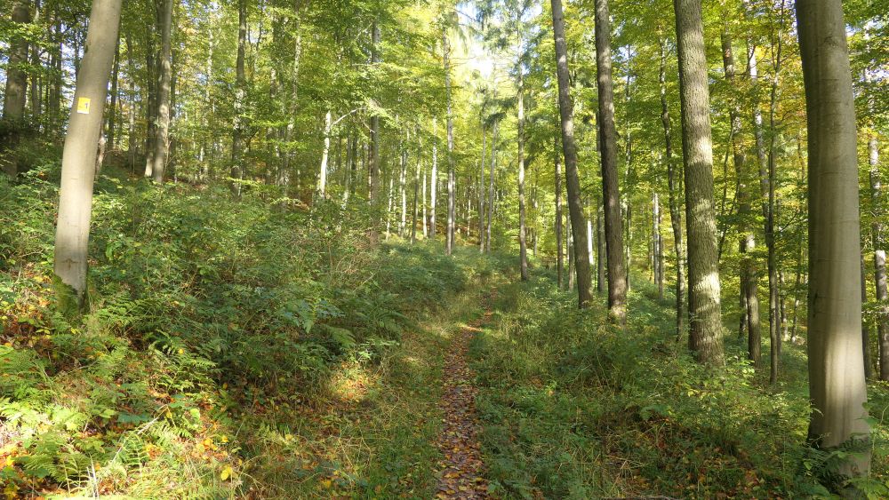 Weserberglandweg