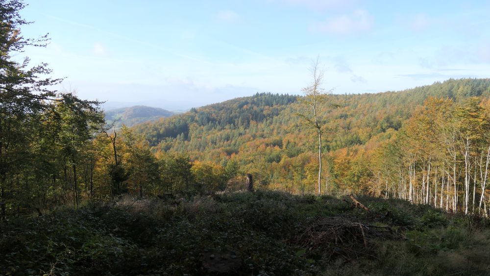Weserberglandweg