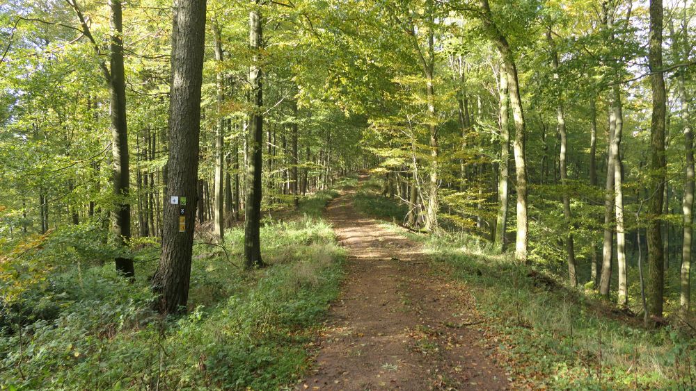 Weserberglandweg