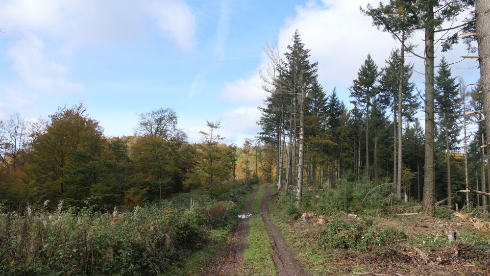 Weserberglandweg