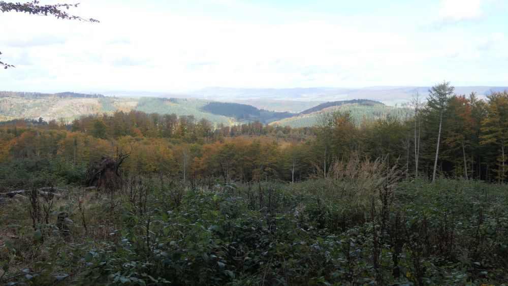 Weserberglandweg