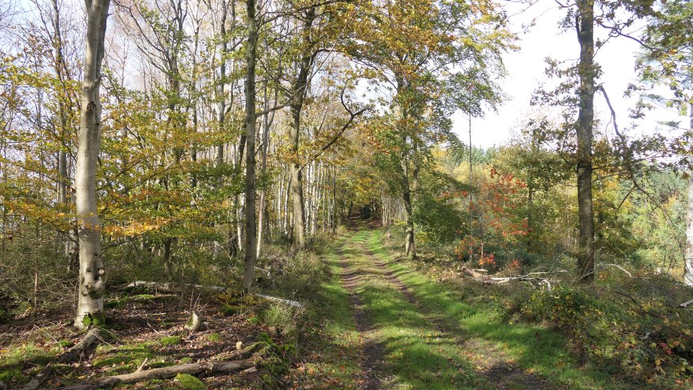 Weserberglandweg