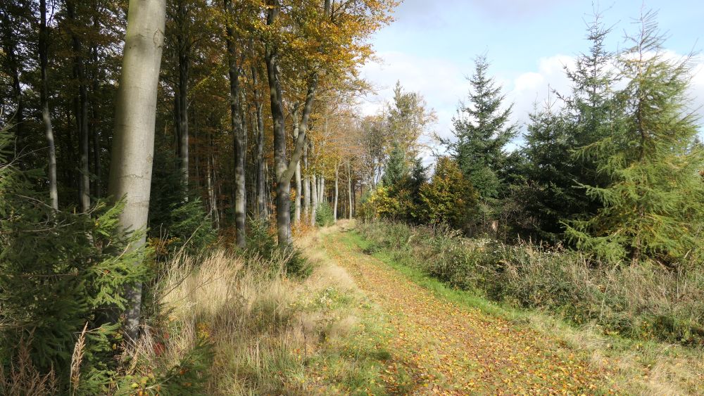 Weserberglandweg