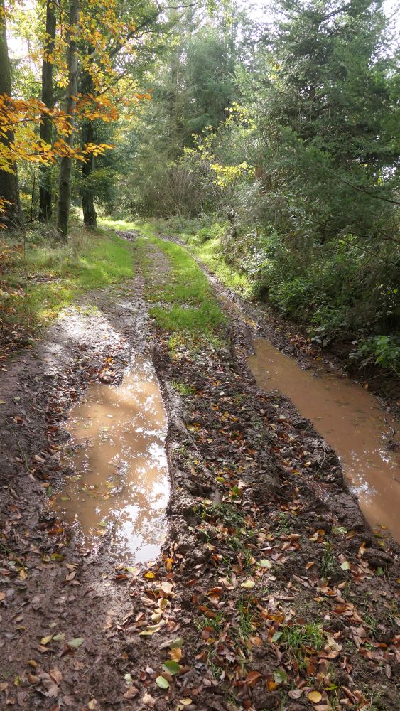 Weserberglandweg
