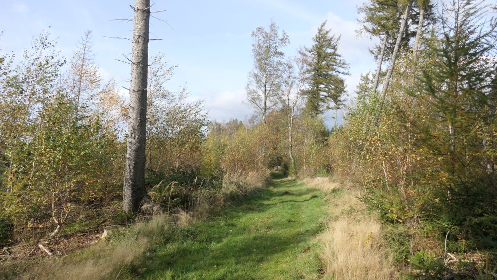 Weserberglandweg