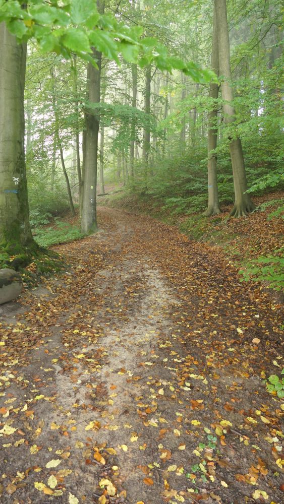 Weserberglandweg