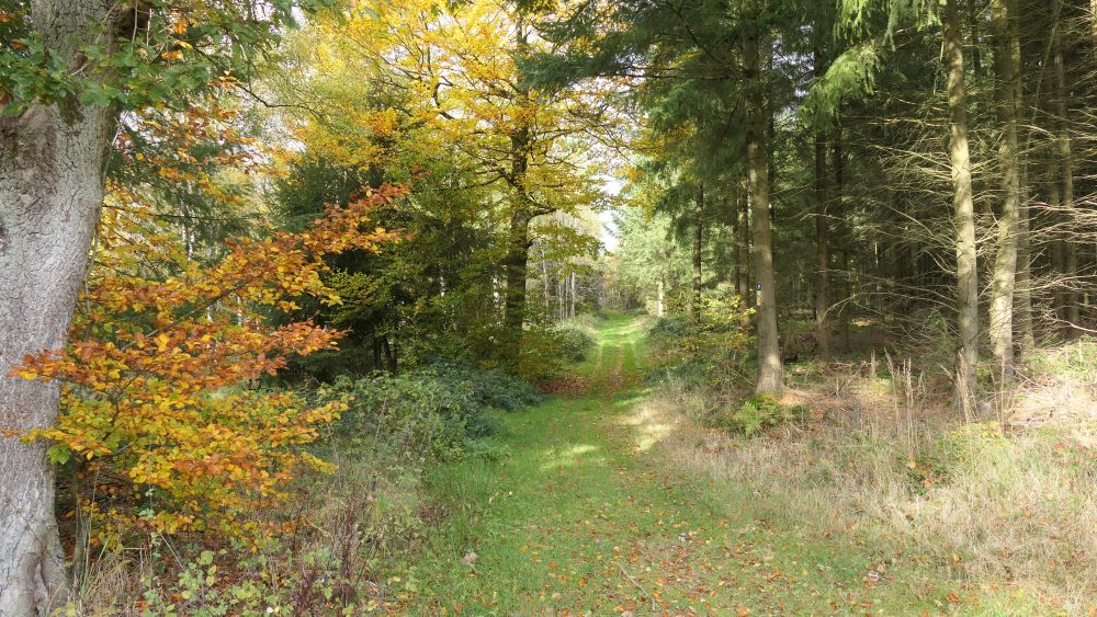Weserberglandweg
