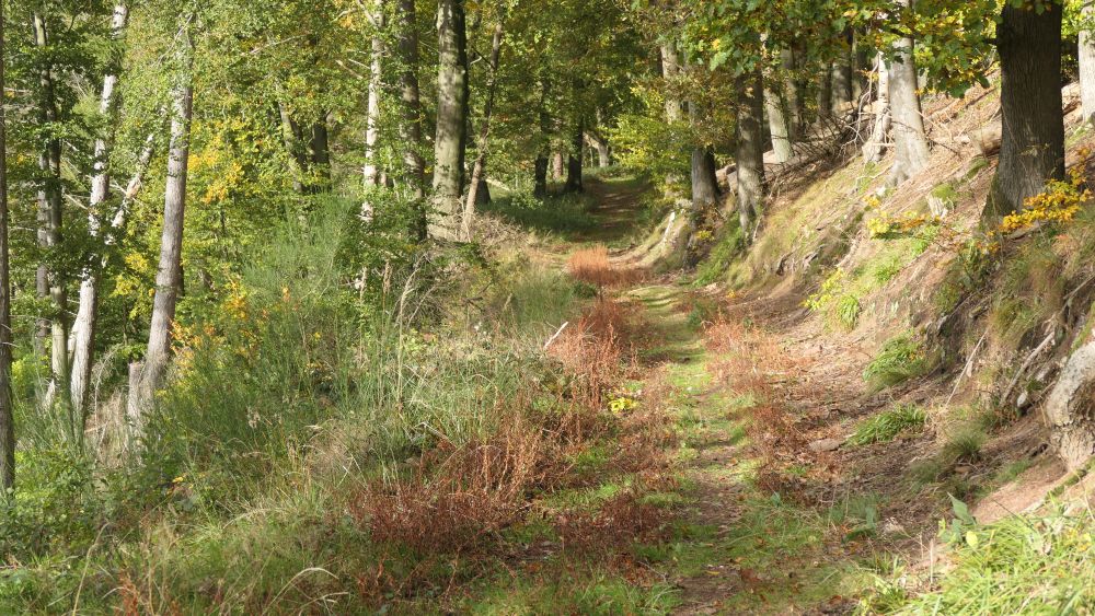 Weserberglandweg