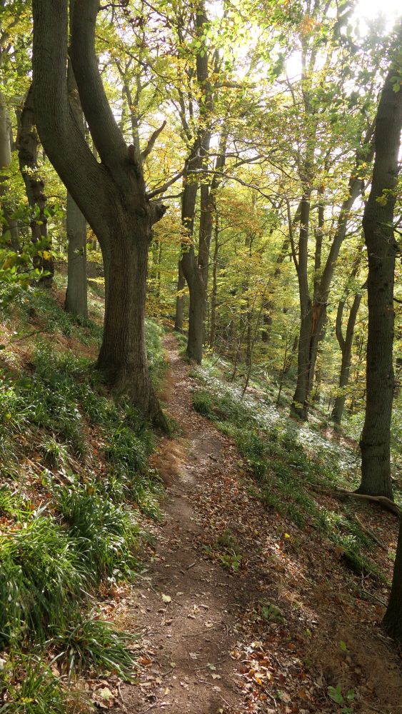 Weserberglandweg