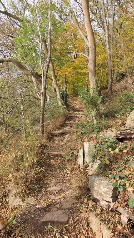 Weserberglandweg