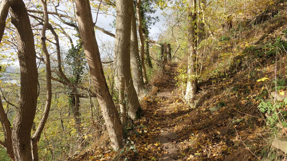 Weserberglandweg