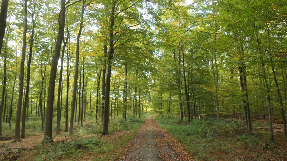 Weserberglandweg