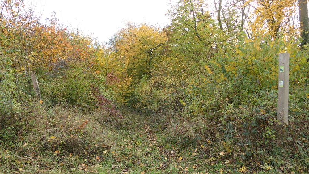 Weserberglandweg