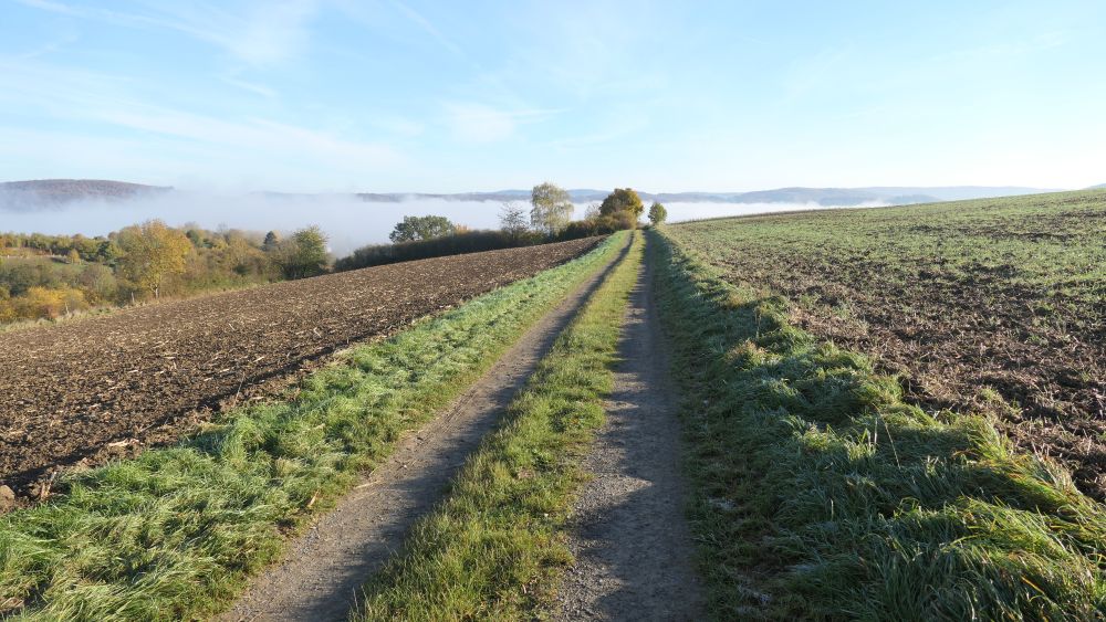 Weserberglandweg