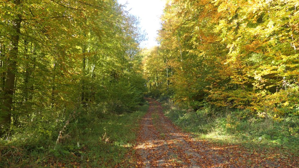 Weserberglandweg
