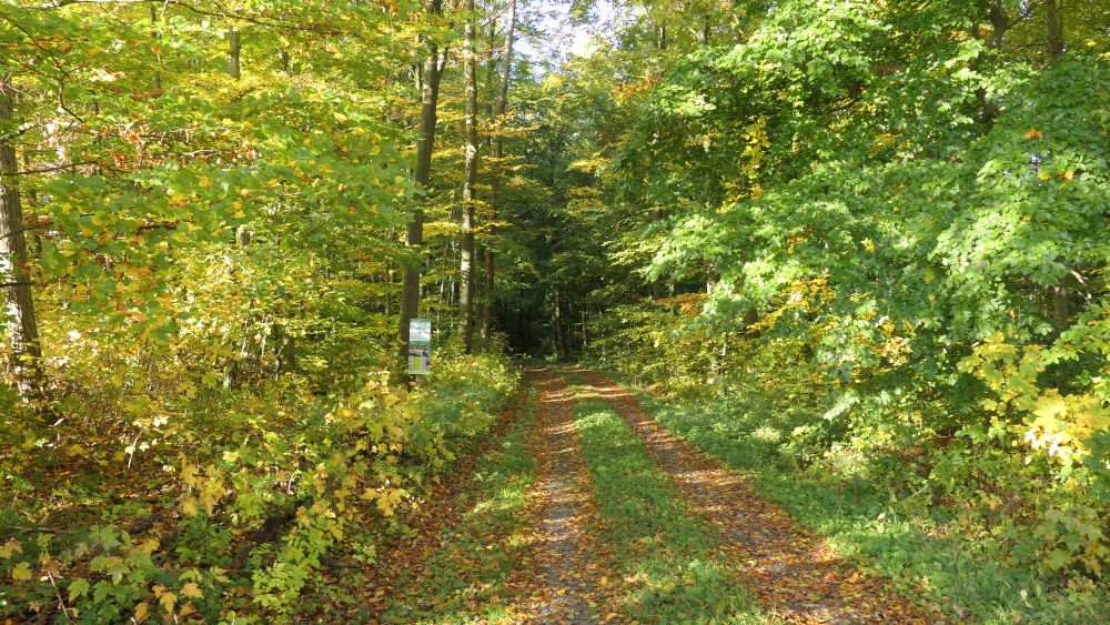 Weserberglandweg