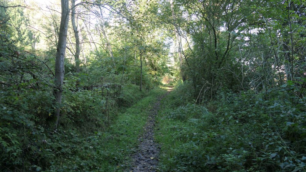 Weserberglandweg